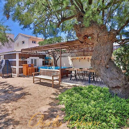 Villa Des Tamaris, Villa 5* En Bord De Mer. Frontignan Eksteriør billede
